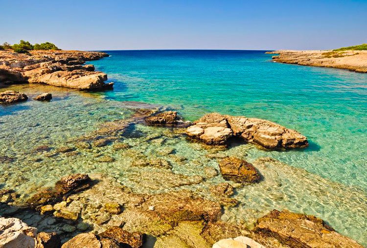 B&B Porto Selvaggio: Il Tuo Rifugio tra Natura e Mare nel Salento Il B&B Happy Days è la scelta perfetta per chi cerca un alloggio accogliente e ben posizionato vicino al Parco Naturale di Porto Selvaggio, una delle riserve più suggestive della Puglia. Situato a soli 500 metri dalla spiaggia di Santa Maria al Bagno e a pochi minuti dalle acque cristalline di Porto Selvaggio, questo bed and breakfast unisce comfort, autenticità salentina e servizi di qualità. Perché Sceglierci? Posizione strategica: Ideale per chi vuole esplorare Porto Selvaggio a piedi, in bici o in auto, con sentieri panoramici e accesso rapido al mare. Piscina e relax: Dopo una giornata di escursioni, potrai rigenerarti nella piscina con solarium in pietra leccese, circondata da un tranquillo giardino. Colazione tipica: Iniziare la giornata con pasticciotti appena sfornati, frutta fresca e prodotti locali è il modo migliore per prepararsi all’avventura. Camere confortevoli: Dotate di aria condizionata, Wi-Fi veloce e alcune con vista piscina, perfette per coppie e famiglie. Esperienze da Vivere Il Parco di Porto Selvaggio offre trekking nella pineta, snorkeling tra grotte marine e tramonti indimenticabili. Nei dintorni, potrai visitare: La Torre dell’Alto, con panorami mozzafiato. Santa Caterina e Nardò, borghi ricchi di storia e ottima cucina. Cala del Ciolo e altre spiagge selvagge raggiungibili in pochi minuti. Come Raggiungerci e Prenotare Il B&B è ben collegato e dispone di parcheggio gratuito. Offriamo anche: Noleggio bici per esplorare la costa in libertà. Consigli su ristoranti e spiagge segrete per vivere il Salento come un locale. Prenota ora il tuo soggiorno nel miglior B&B vicino a Porto Selvaggio! 🌿☀️