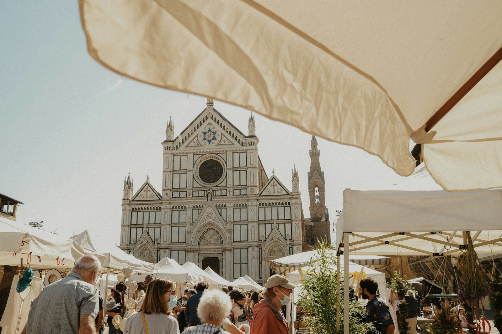 Cascine Market in Florence: the Tuesday market, what to buy and how to get there