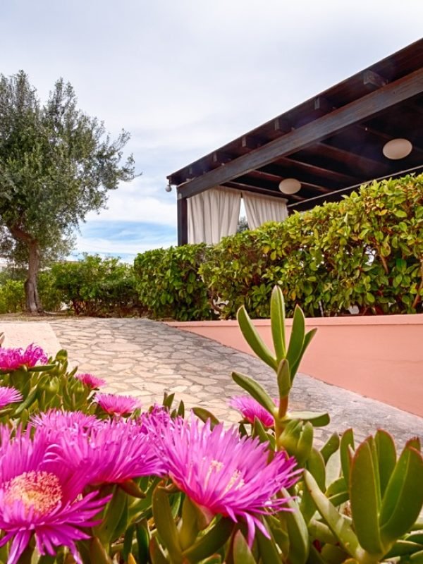 B&B Porto Selvaggio First flowers 2025